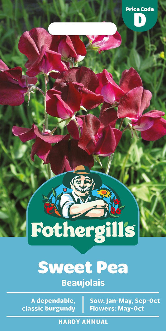 Fothergills Sweet Pea Beaujolais Seeds