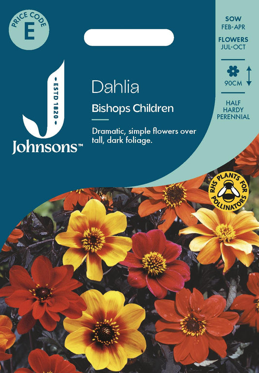 Johnsons - Dahlia Bishops Children - 40 Seeds