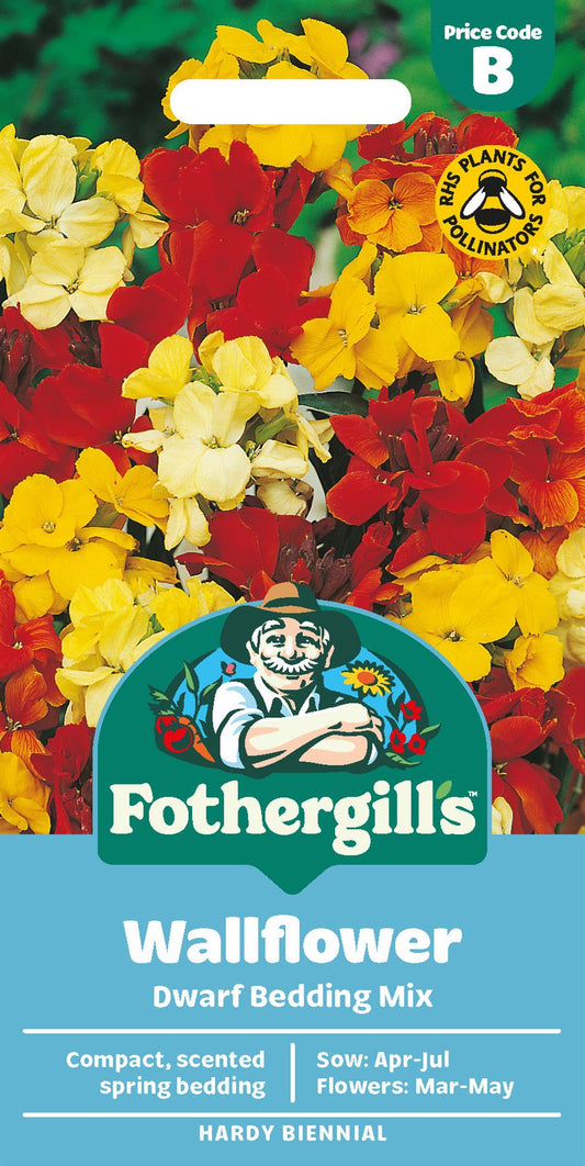 Fothergills Wallflower Dwarf Bedding Mix Seeds