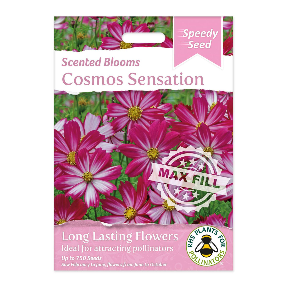 Speedy Seeds Flowers Cosmos Sensation Scented Blooms