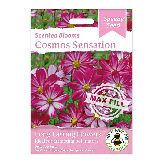 Speedy Seeds Flowers Cosmos Sensation Scented Blooms