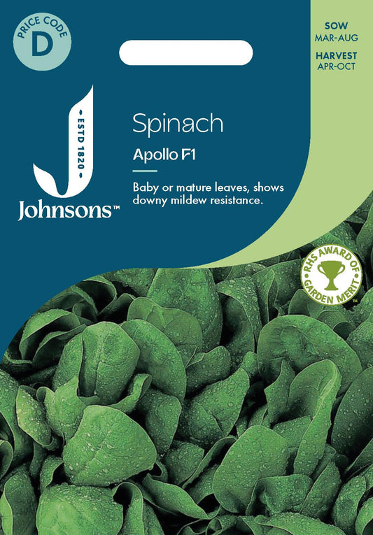 Johnsons - Spinach Apollo F1 - 250 Seeds