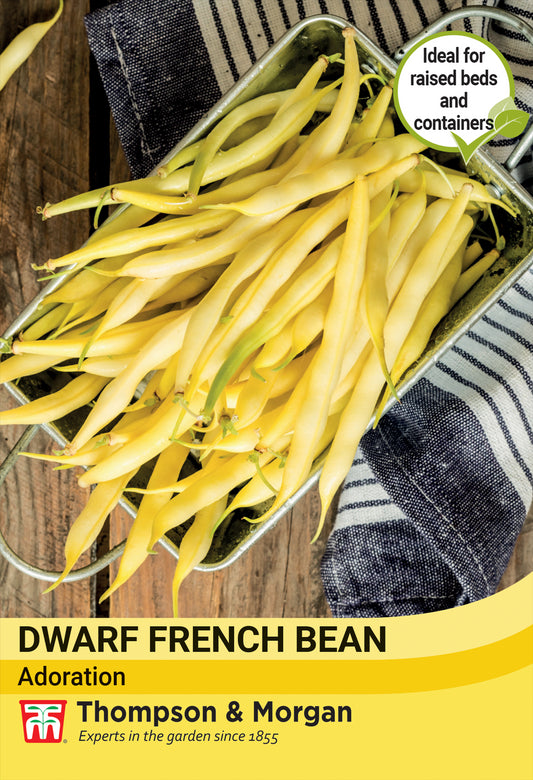 Thompson & Morgan  Vegetable Dwarf French Bean Adoration (Yellow) - 40 Seeds