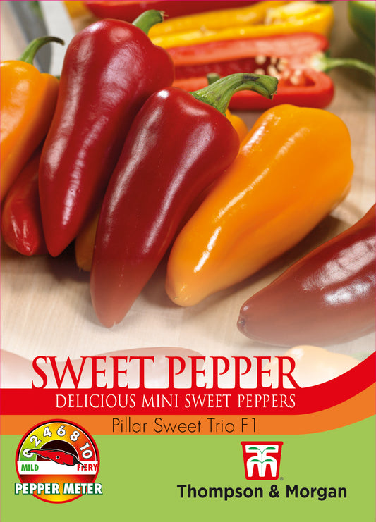 Thompson & Morgan Vegetable Sweet Pepper Pillar Sweet Trio F1 - 6 Seeds
