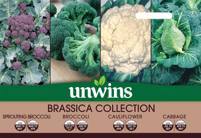 Unwins Brassica Collection Pack Seeds