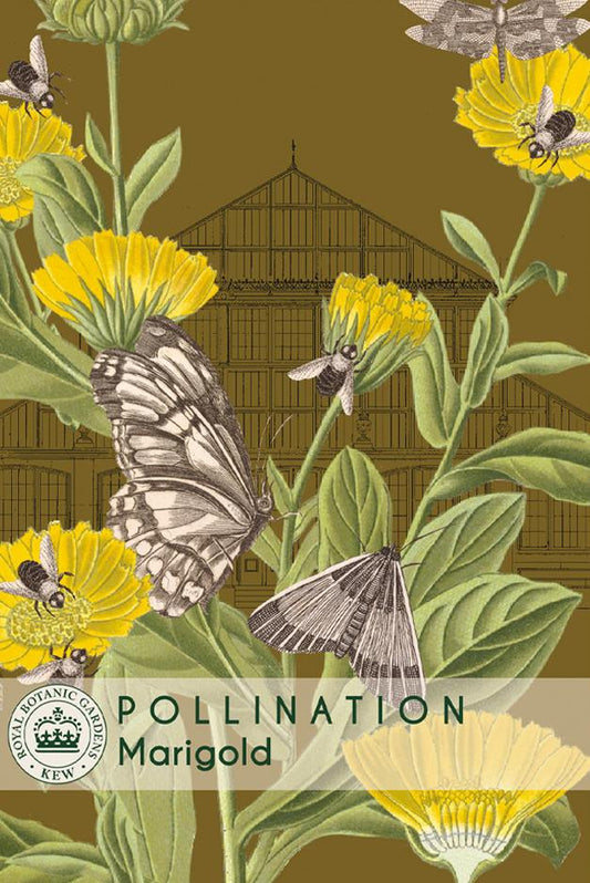 Thompson & Morgan Kew Pollinators Flower Marigold - 100 Seeds