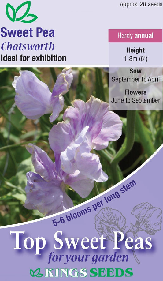 Kings Seeds Sweet Pea Chatsworth 20 Seeds