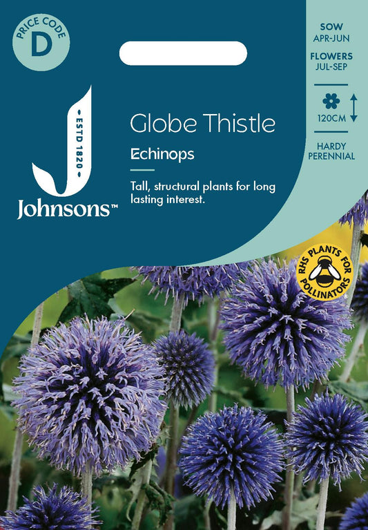 Johnsons - Globe Thistle - Echinops - 50 Seeds