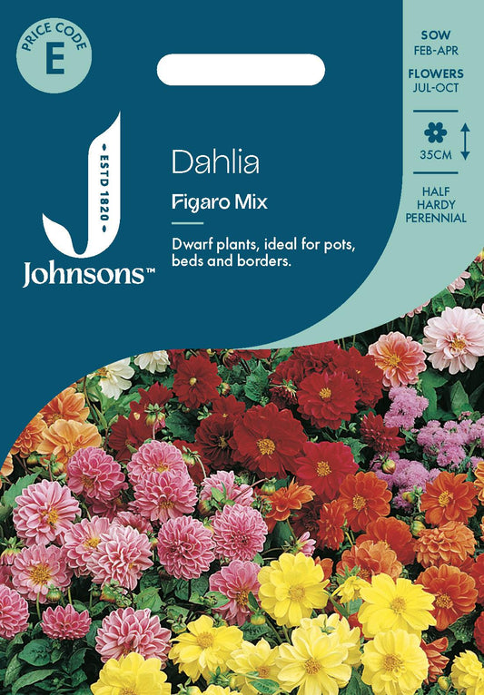 Johnsons - Dahlia Figaro Mix - 40 Seeds