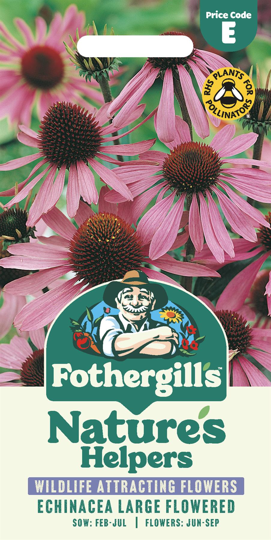 Fothergills Nature Haven - Echinacea Large Flowered Seeds