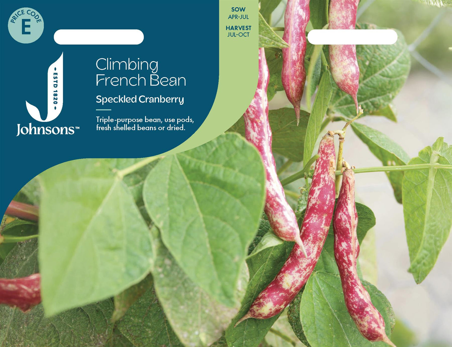 Johnsons - Climbing French Bean Speckled Cranberry - 50 Seeds