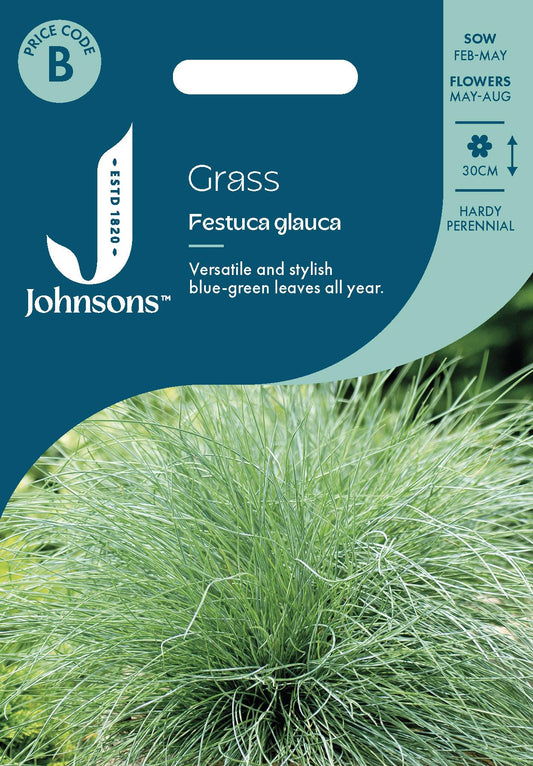 Johnsons - Grass Festuca Glauca - 100 Seeds