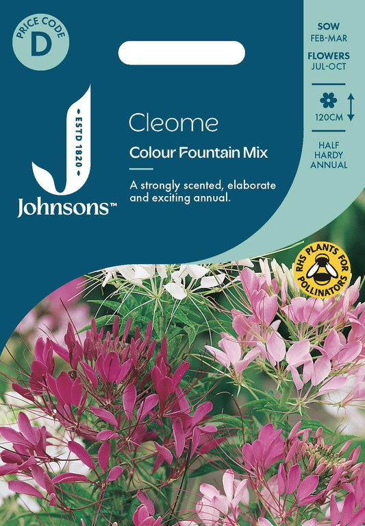 Johnsons - Cleome Colour Fountain Mix - 250 Seeds