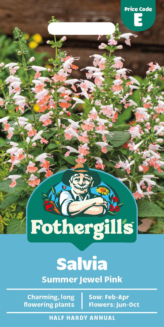 Fothergills Salvia Summer Jewel Pink Seeds