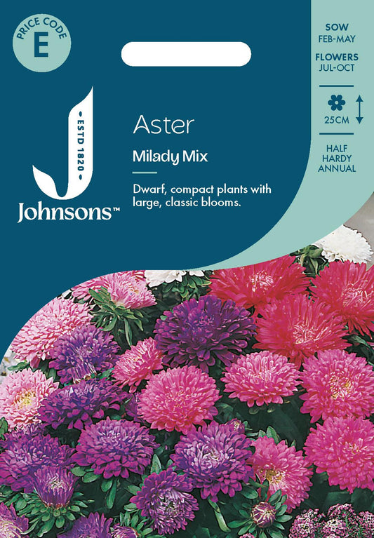Johnsons - Aster Milady Mix - 150 Seeds
