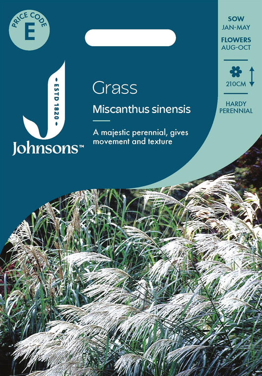 Johnsons - Grass Miscanthus Sinensis - 50 Seeds