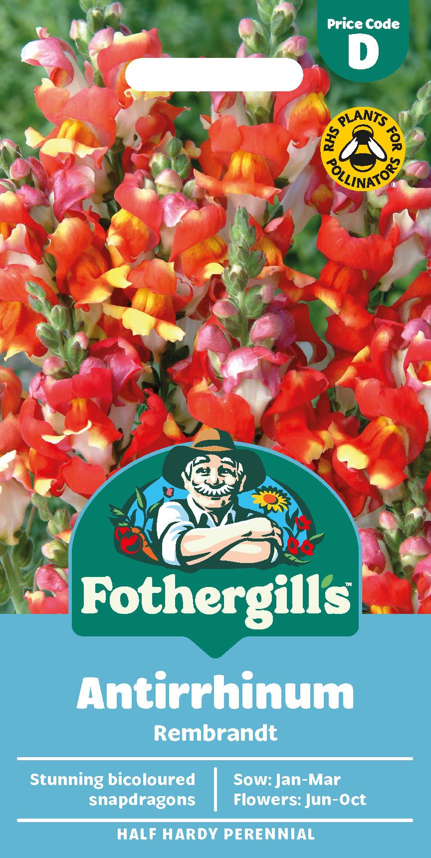 Fothergills Antirrhinum Rembrandt Seeds