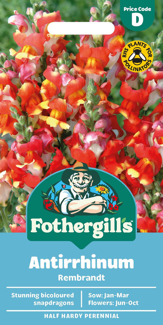 Fothergills Antirrhinum Rembrandt Seeds