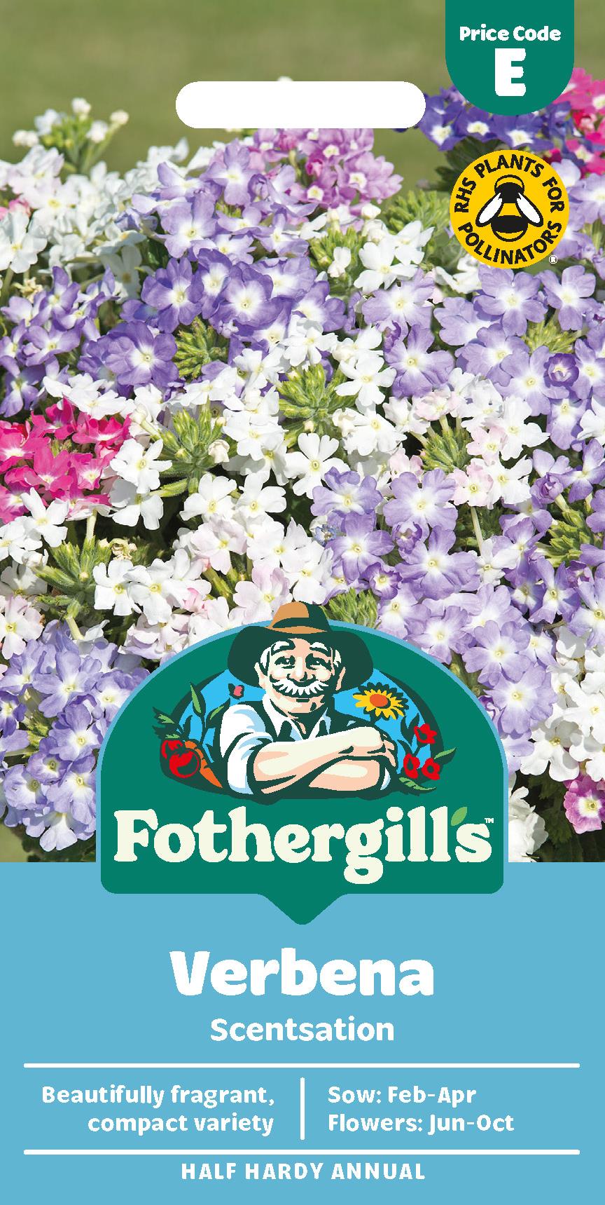 Fothergills Verbena Scentsation Seeds