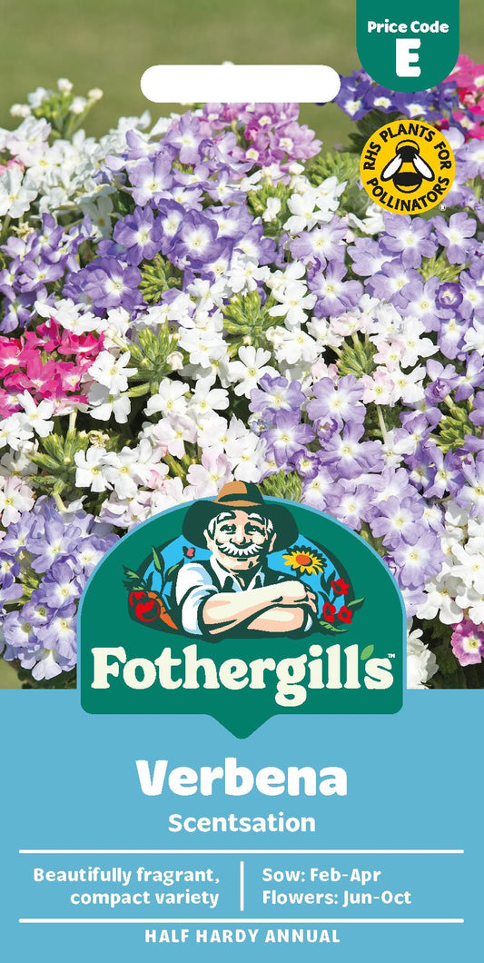 Fothergills Verbena Scentsation Seeds