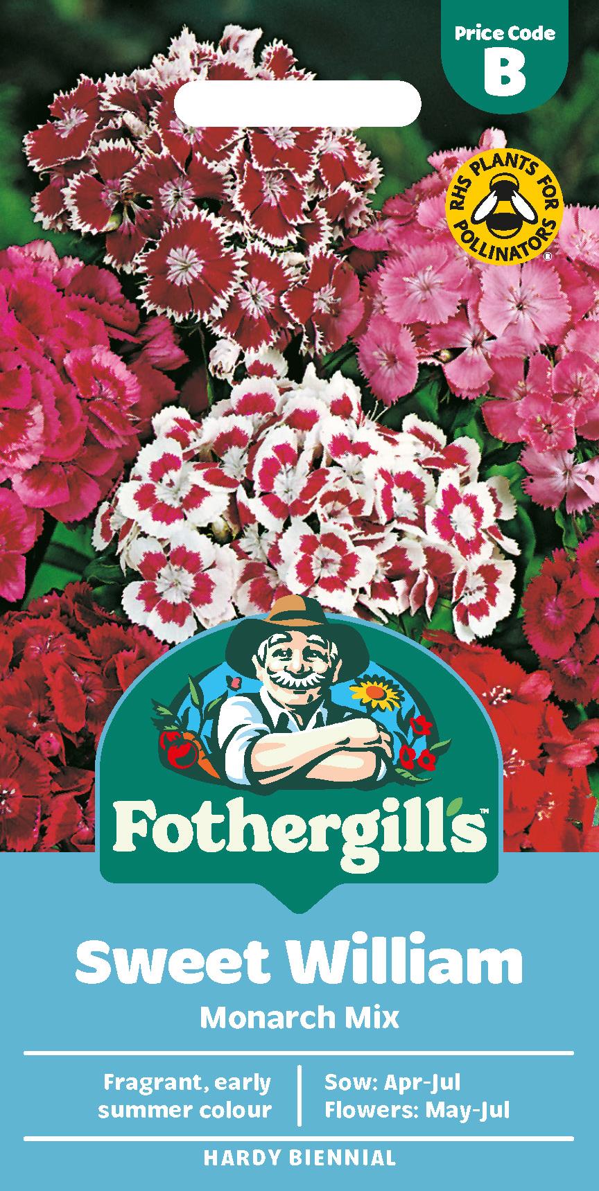 Fothergills Sweet William Monarch Mix Seeds