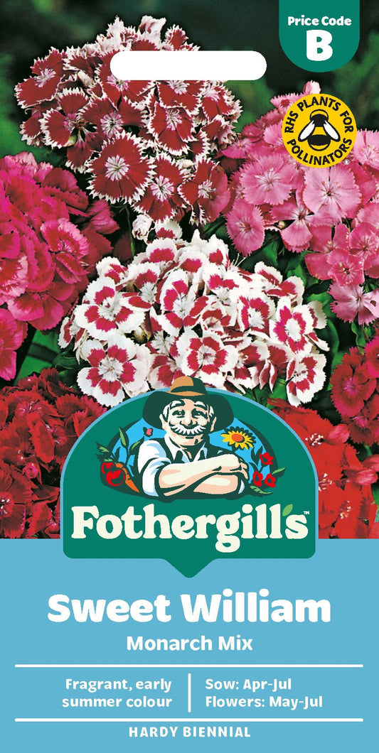 Fothergills Sweet William Monarch Mix Seeds