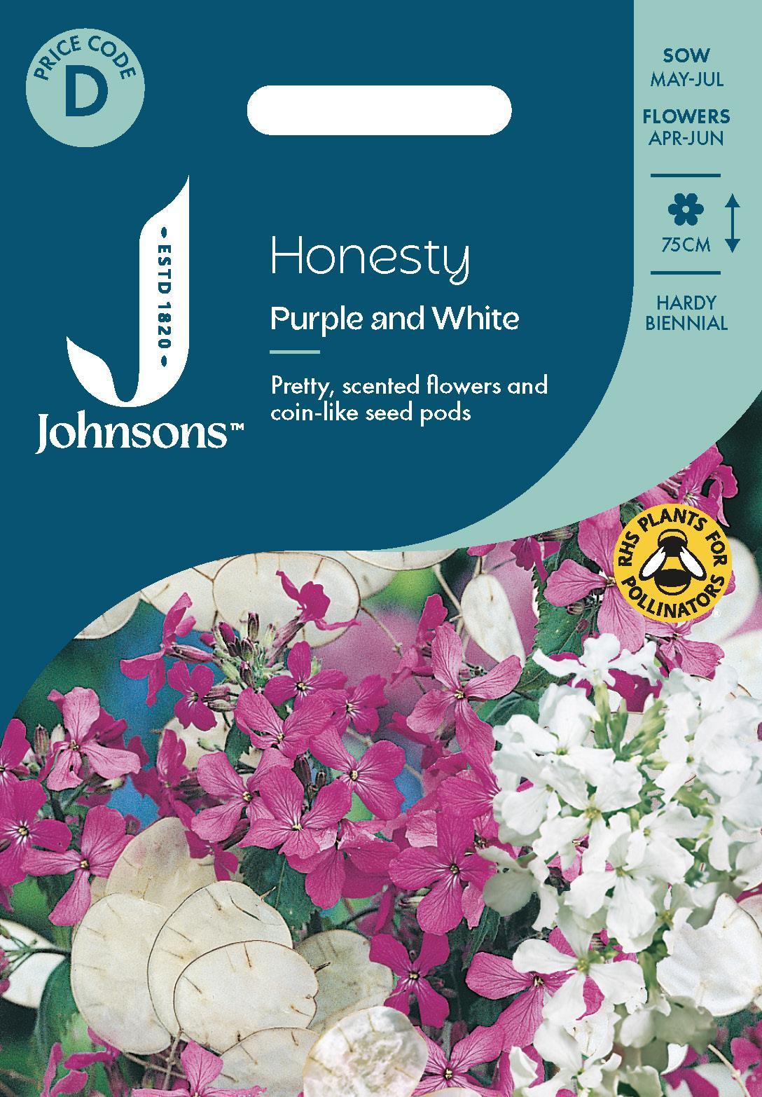 Johnsons - Honesty Purple and White - 50 Seeds