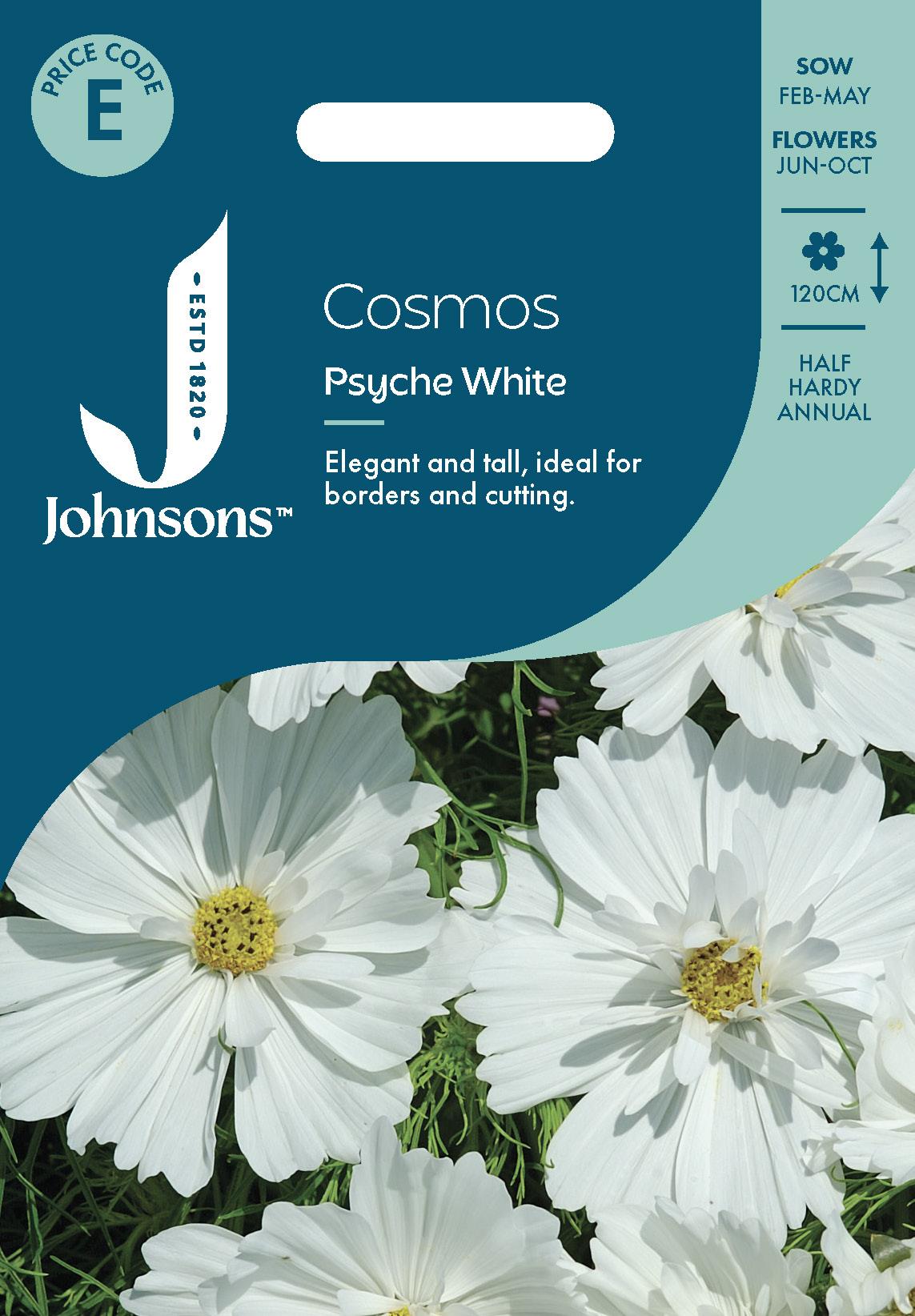 Johnsons - Cosmos Psyche White - 100 Seeds
