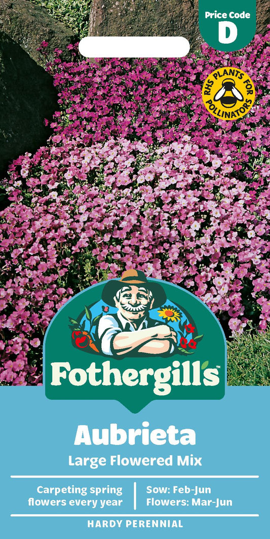 Fothergills Aubrieta Large Flowered Mix Seeds