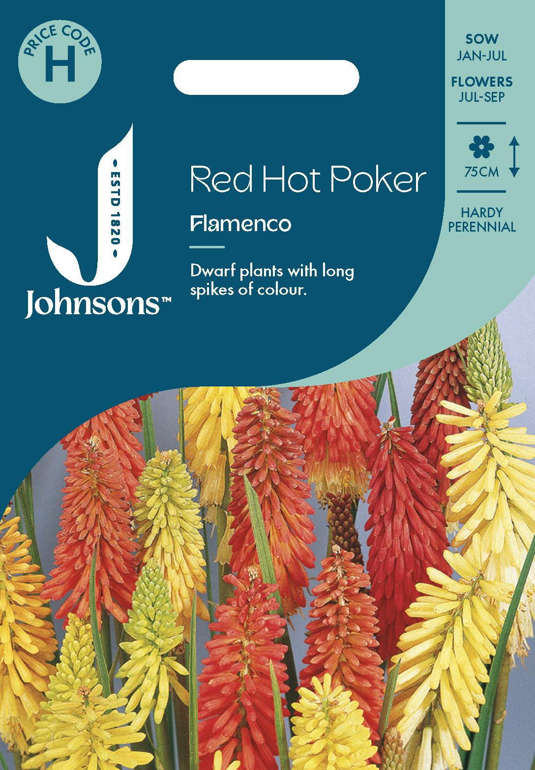 Johnsons - Red Hot Poker Flamenco - 30 Seeds