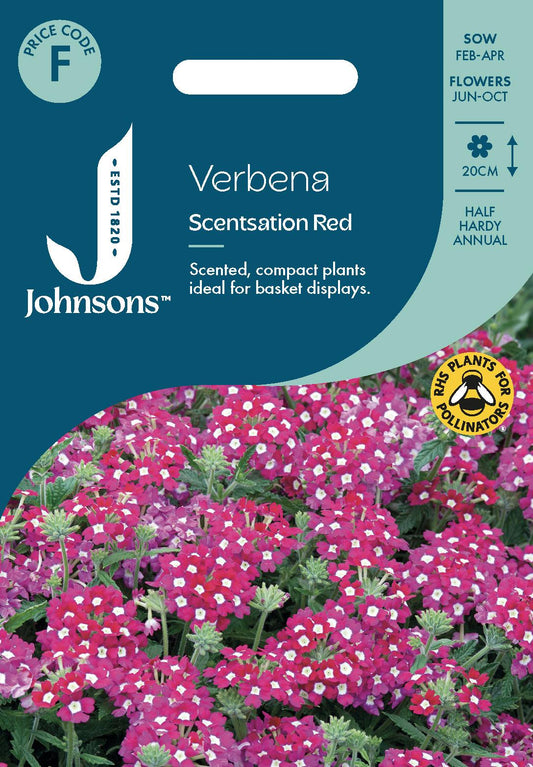 Johnsons - Verbena Scentsation Red - 50 Seeds