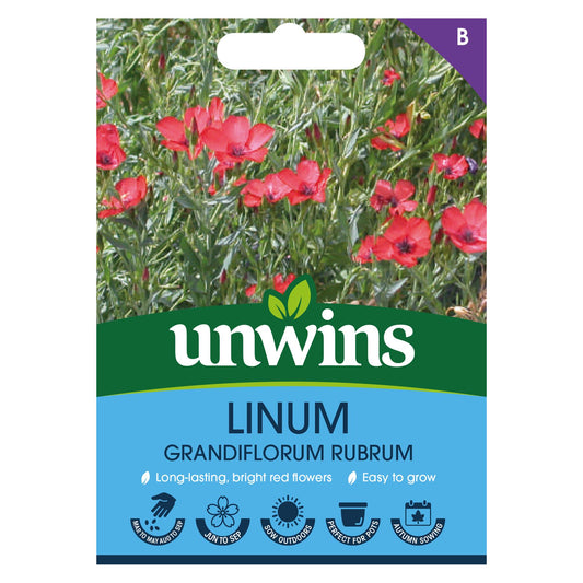 Unwins Flower Linum grandiflorum rubrum - 500 Seeds