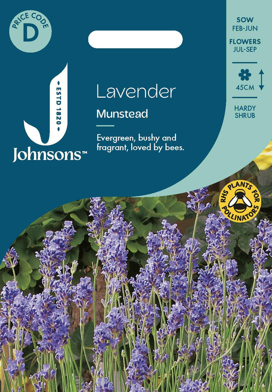 Johnsons - Lavender Munstead - 150 Seeds