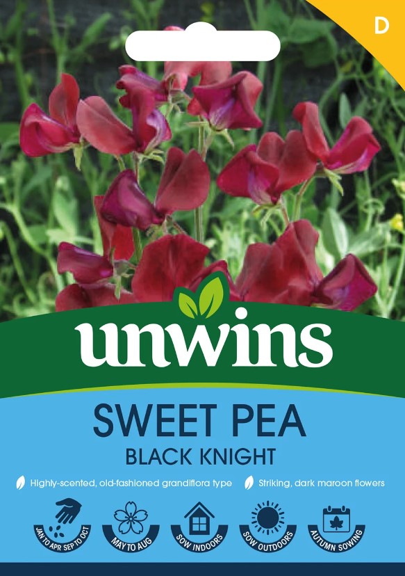 Unwins Flower Sweet Pea Black Knight - 21 Seeds