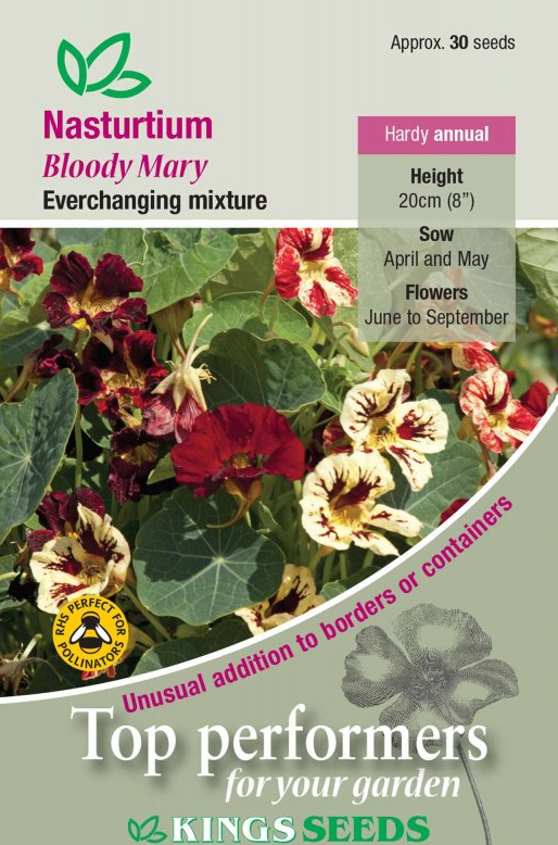 Kings Seeds  Nasturtium Bloody Mary Seeds