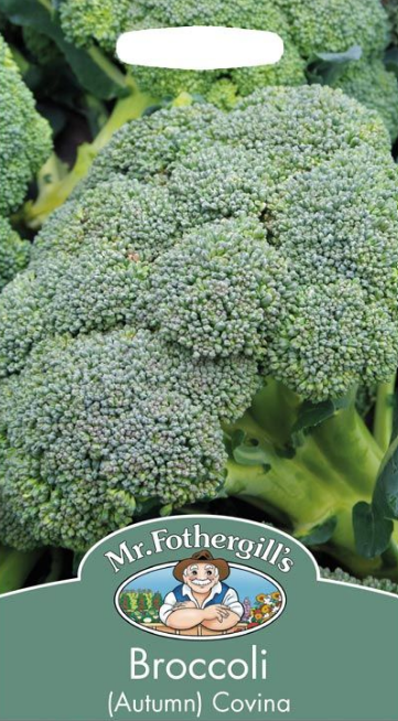 Mr Fothergills Broccoli (Autumn) Covina Seeds