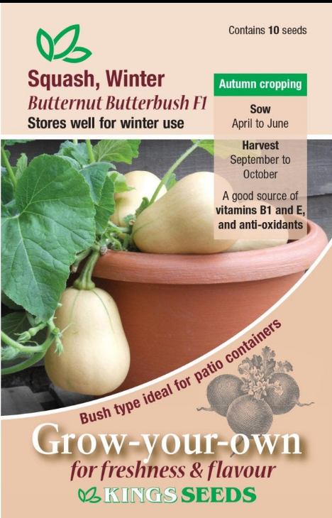 Kings Seeds Squash Winter Butternut Butter Bush F1 - 10 Seeds