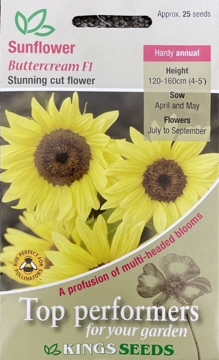 Kings Seeds Sunflower Buttercream F1 - 25 Seeds