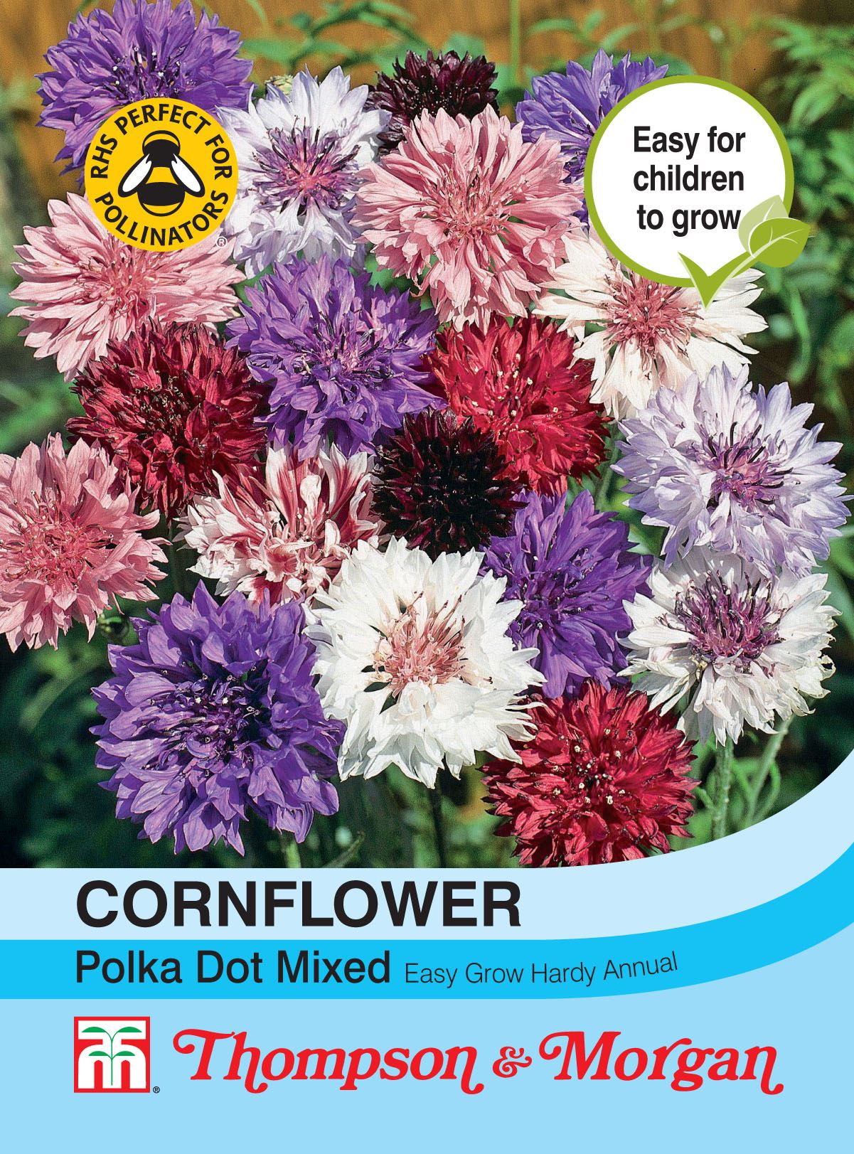 Thompson & Morgan Cornflower Polka Dot Mixed 500 Seed