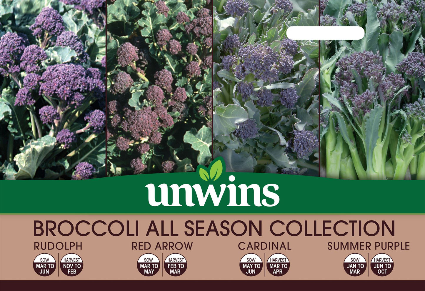 Unwins Broccoli All Season Collection 200 Seeds