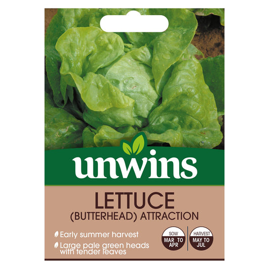 Unwins Herb Lettuce Butterhead Attraction - 1000 Seeds