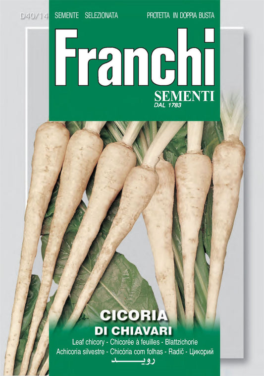 Franchi Seeds of Italy Root Chicory Di Chiavari Seeds