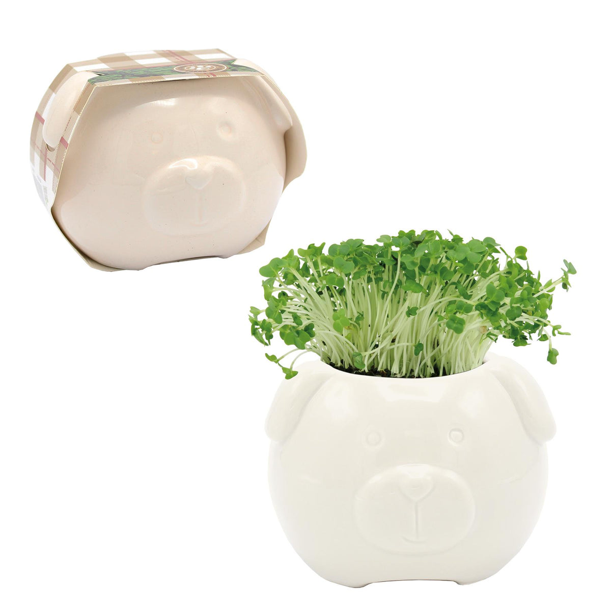 Cress Head Dog Novelty Planter Grow Kit – Cream | Bees Seeds