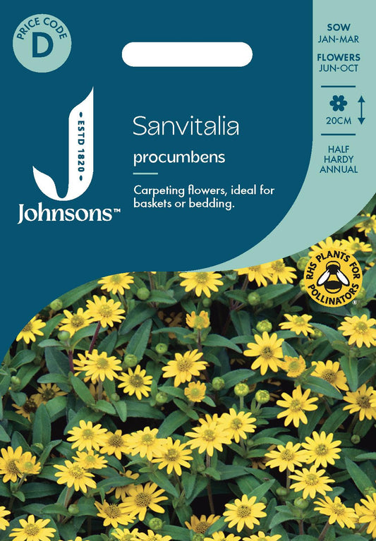 Johnsons - Sanvitalia Procumbens - 300 Seeds