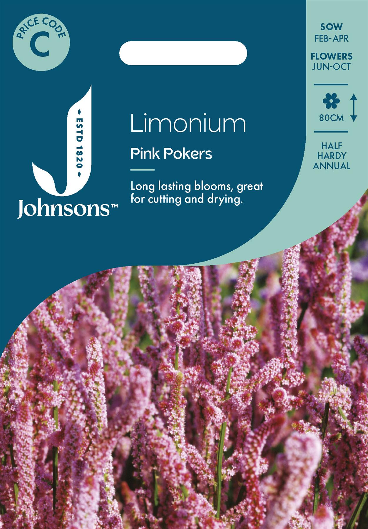 Johnsons - Limonium Pink Pokers - 500 Seeds