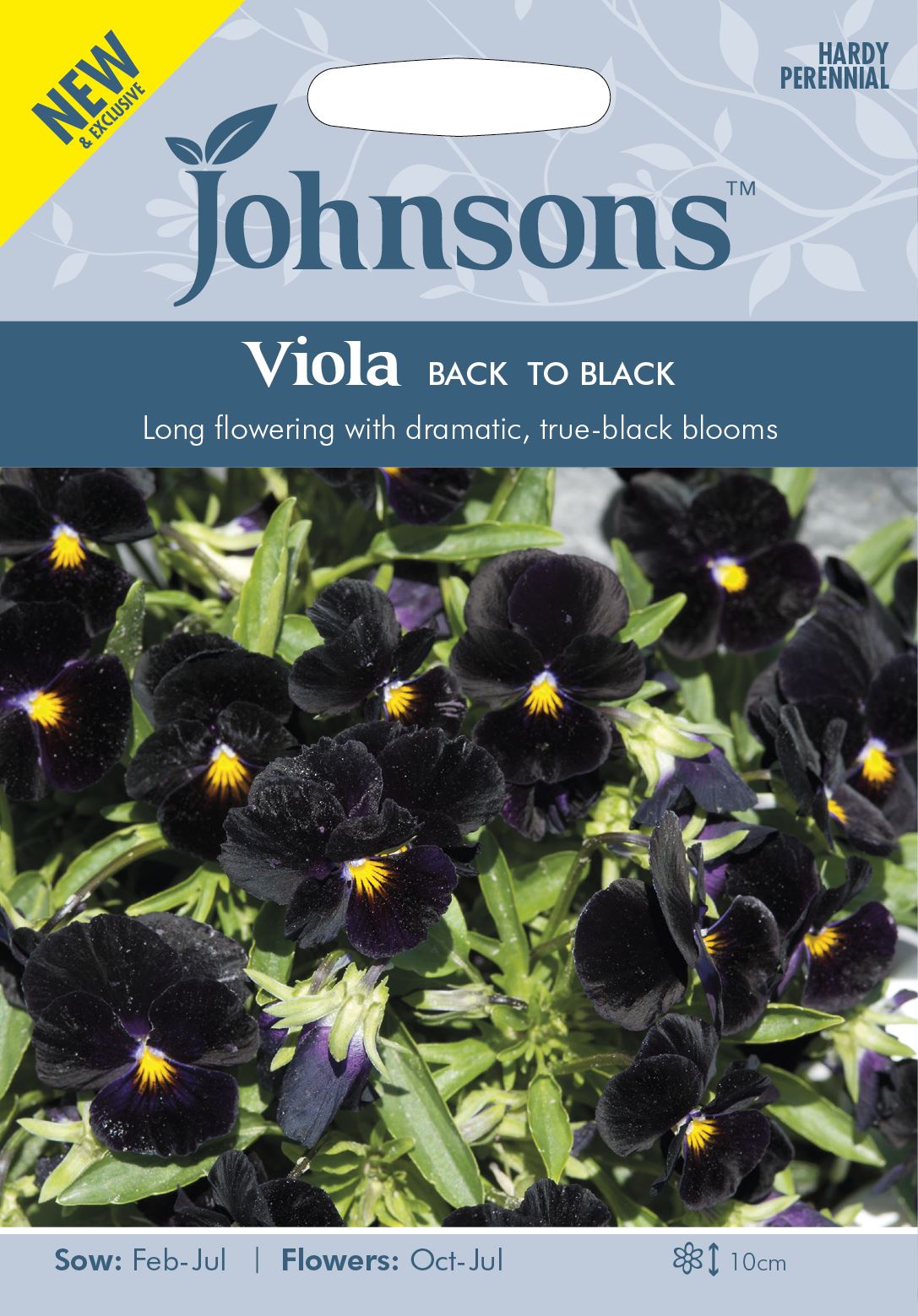 Johnsons Viola Back to Black 100 Seeds