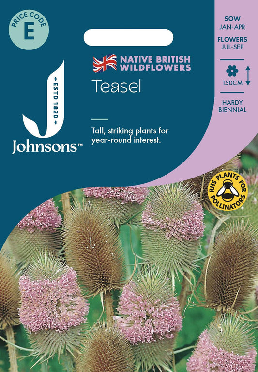 Johnsons - Wild Flowers - Teasel - 150 Seeds
