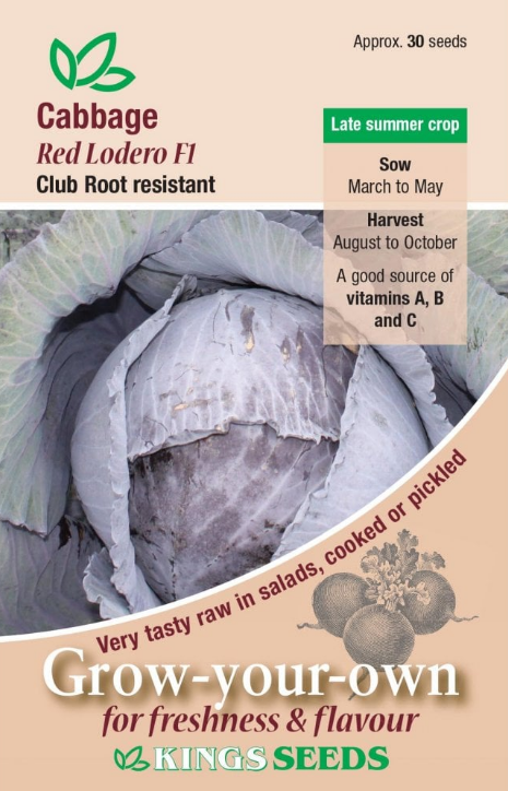 Kings Seeds Cabbage Red Lodero F1 - 30 Seeds