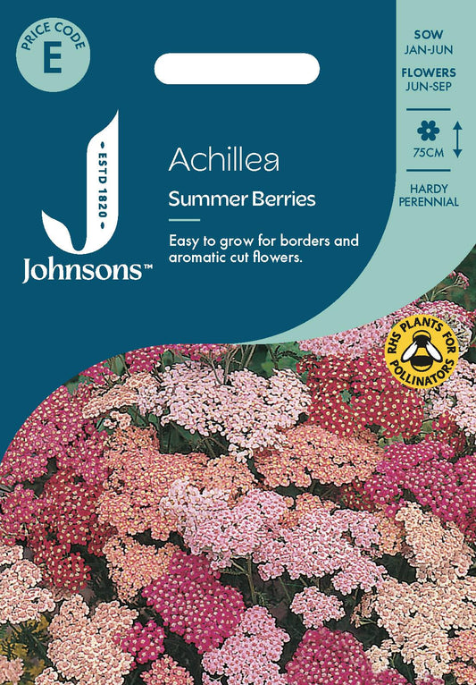Johnsons - Achillea Summer Berries - 50 Seeds