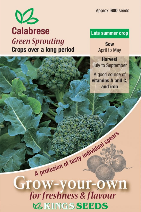 Kings Seeds Calabrese Green Sprouting 600 Seeds